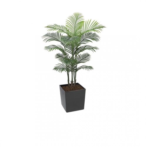 #1 for Artificial Areca Palm Trees | Evergreen Direct