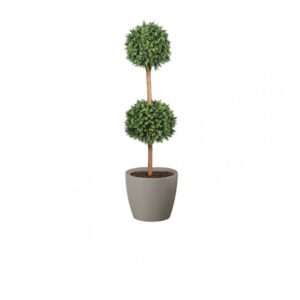 Deluxe Double Boxwood Ball Topiary Tree From Evergreen Direct