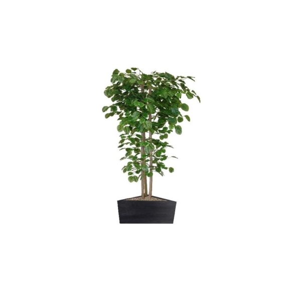 Artificial Hand Made Beech Tree | Evergreen Direct