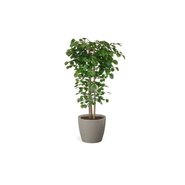 Artificial Hand Made Beech Tree | Evergreen Direct