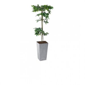 Artificial Hand Made Tiered Ficus Tree | Evergreen Direct