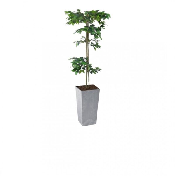 Artificial Hand Made Tiered Ficus Tree | Evergreen Direct