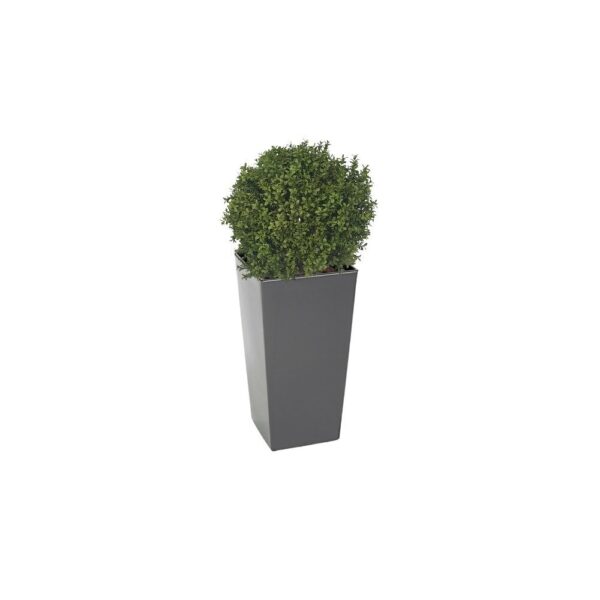 Artificial Deluxe Boxwood Ball From Evergreen Direct