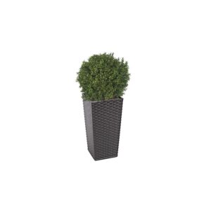 Artificial Deluxe Boxwood Ball From Evergreen Direct