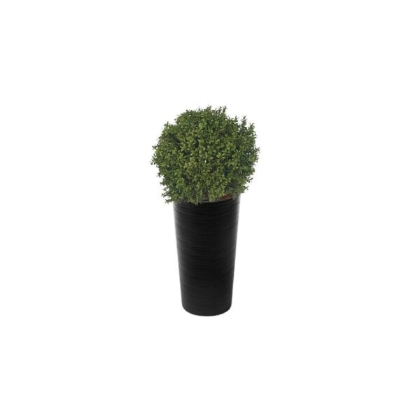 Artificial Deluxe Boxwood Ball From Evergreen Direct