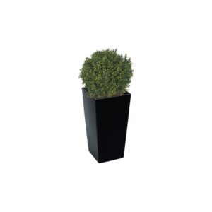 Artificial Deluxe Boxwood Ball From Evergreen Direct