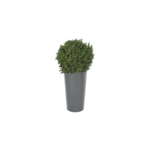 Artificial Deluxe Boxwood Ball From Evergreen Direct