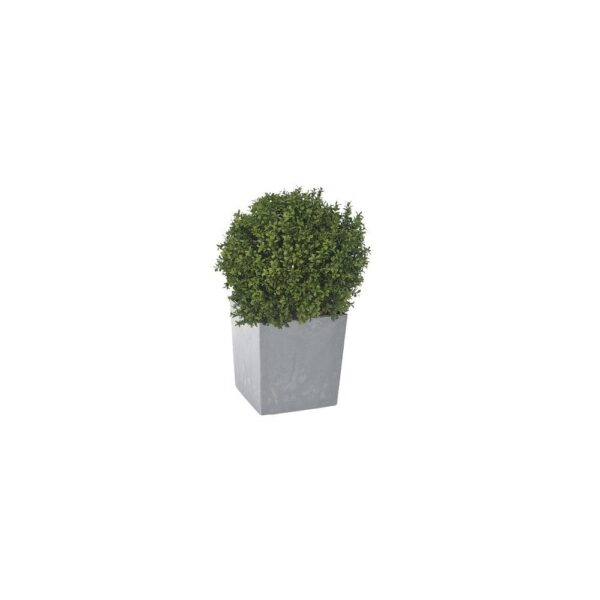 Artificial Deluxe Boxwood Ball From Evergreen Direct