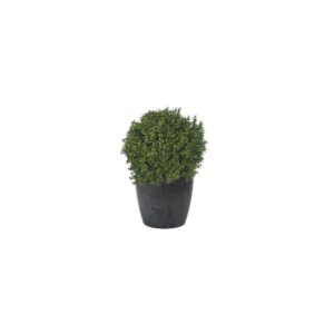 Artificial Deluxe Boxwood Ball From Evergreen Direct