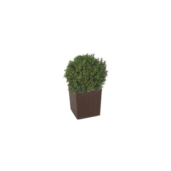 Artificial Deluxe Boxwood Ball From Evergreen Direct