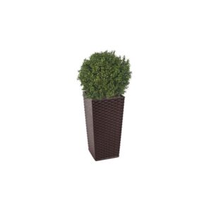 Artificial Deluxe Boxwood Ball From Evergreen Direct