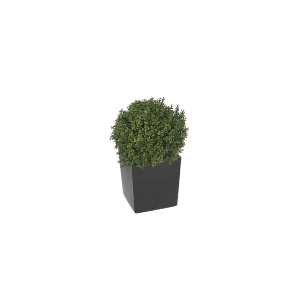 Artificial Deluxe Boxwood Ball From Evergreen Direct