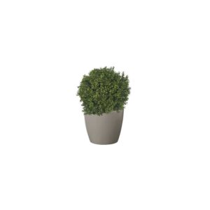 Artificial Deluxe Boxwood Ball From Evergreen Direct