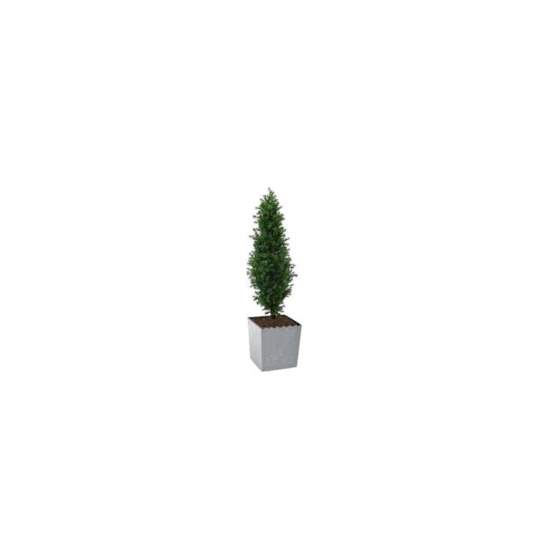 Artificial Buxus Shrub | Evergreen Direct