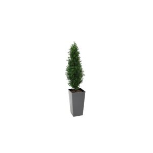 Artificial Buxus Shrub  | Evergreen Direct