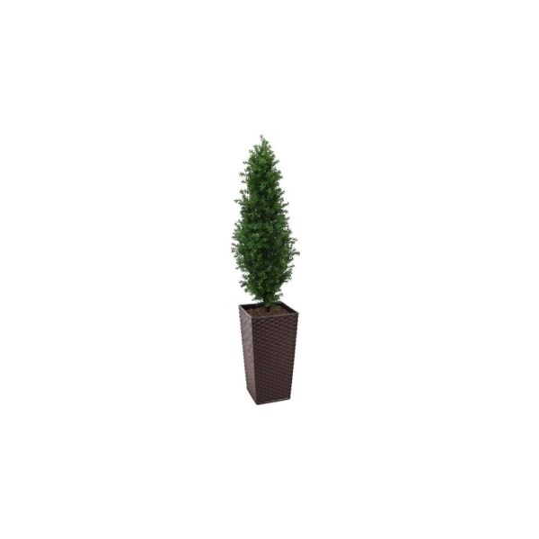 Artificial Buxus Shrub  | Evergreen Direct