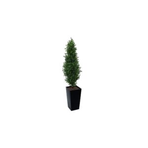 Artificial Buxus Shrub  | Evergreen Direct