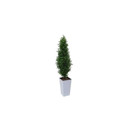 Artificial Buxus Shrub  | Evergreen Direct