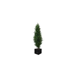 Artificial Buxus Shrub  | Evergreen Direct