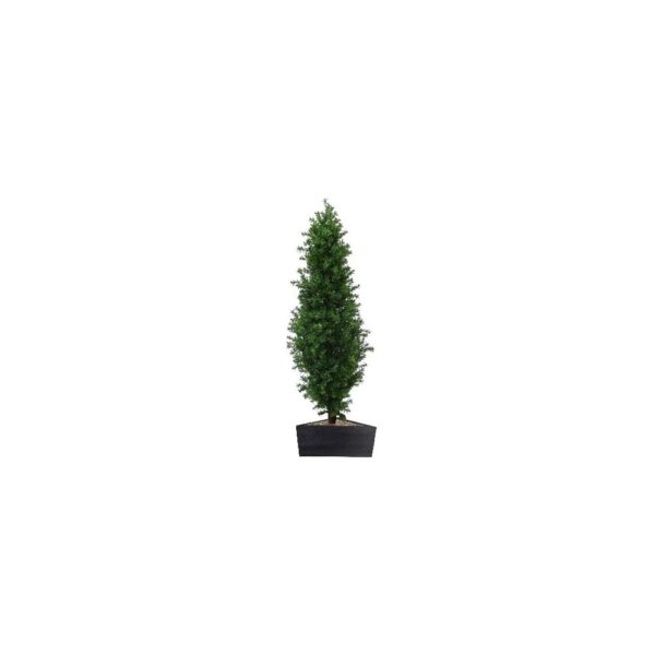 Artificial Buxus Shrub  | Evergreen Direct