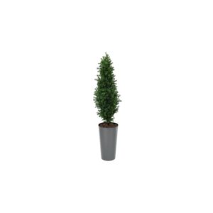 Artificial Buxus Shrub  | Evergreen Direct