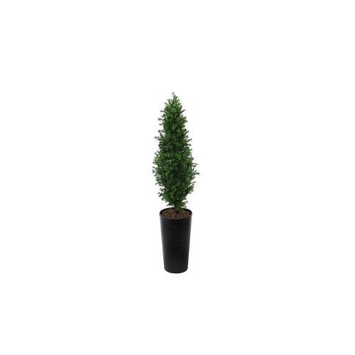 Artificial Buxus Shrub  | Evergreen Direct