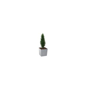 Artificial Buxus Shrub | Evergreen Direct