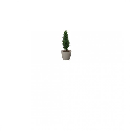 Artificial Buxus Shrub  | Evergreen Direct