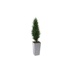 Artificial Buxus Shrub  | Evergreen Direct