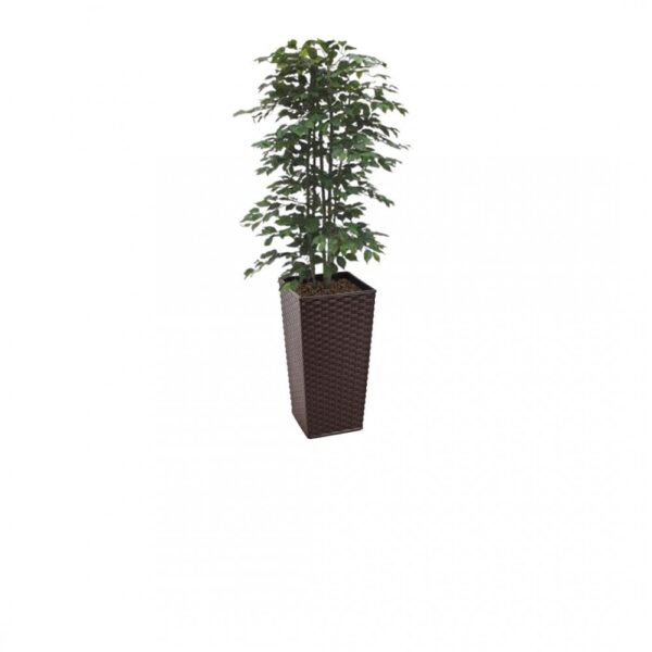 #1 for Artificial Green Ficus Trees | Evergreen Direct