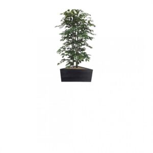 #1 for Artificial Green Ficus Trees | Evergreen Direct