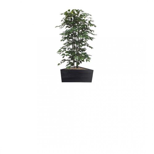 #1 for Artificial Green Ficus Trees | Evergreen Direct