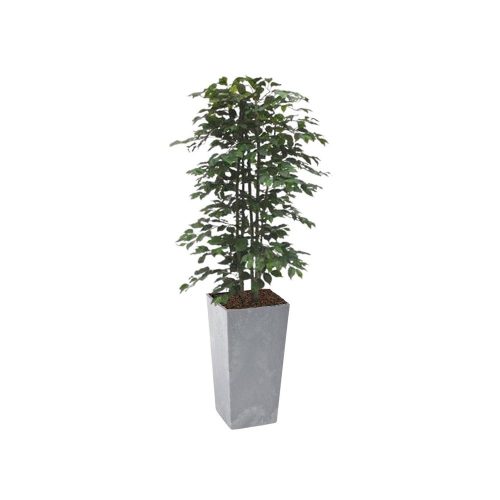 #1 for Artificial Green Ficus Trees | Evergreen Direct