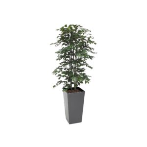 #1 for Artificial Green Ficus Trees | Evergreen Direct