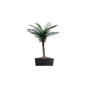 Artificial UV Beach Palm at Evergreen Direct