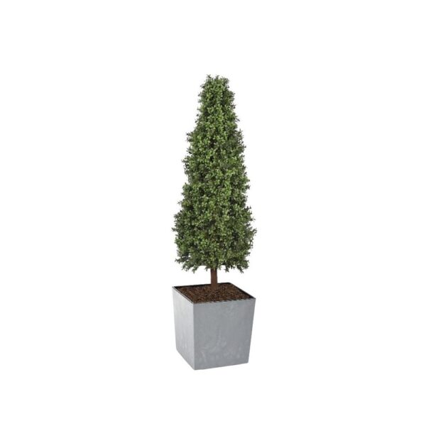 Artificial Topiary Cone at Evergreen Direct