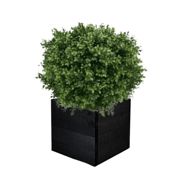 Artificial Deluxe Boxwood Ball From Evergreen Direct