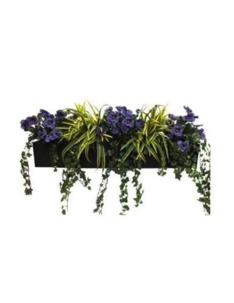 Pansy Dracaena window box