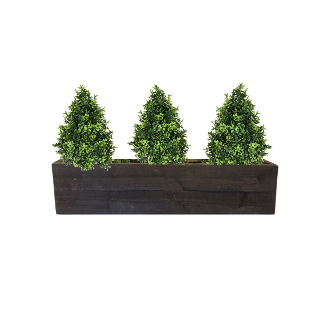 Buxus Shrub Trough